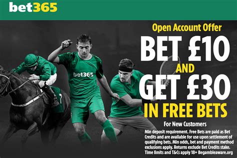 Wolves Wolves Wolves Bet365